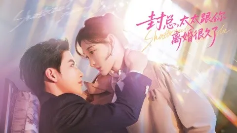 封总，太太跟你离婚很久了